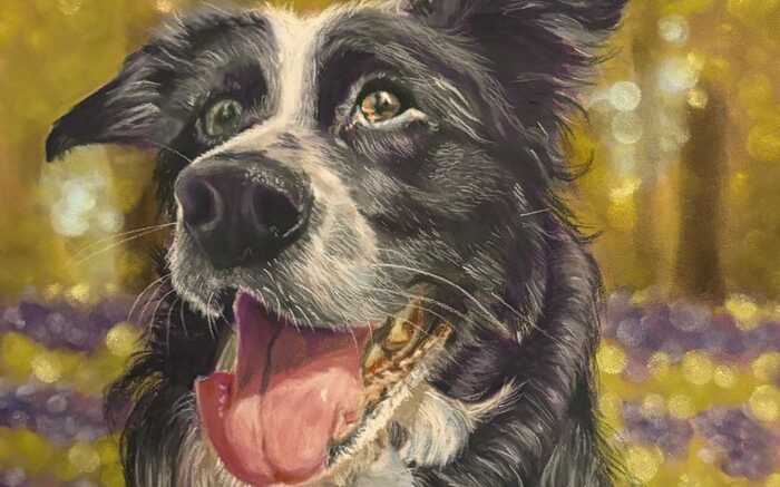 A collage of 6 square crops of pastel artworks, two pigs, a kingfisher, a starling, a stag, a sleeping puppy, and a hedgehog