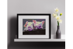 Disco pigs - frame mockup.png