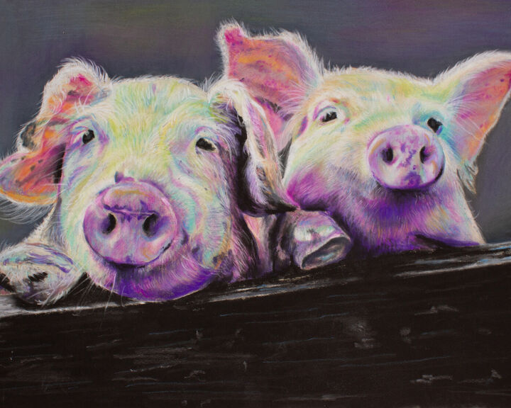 Greeting &amp; Note Cards