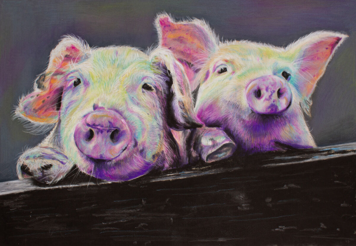 Disco pigs_Unmounted_MG_4194.png Disco pigs_Unmounted_MG_4194.png