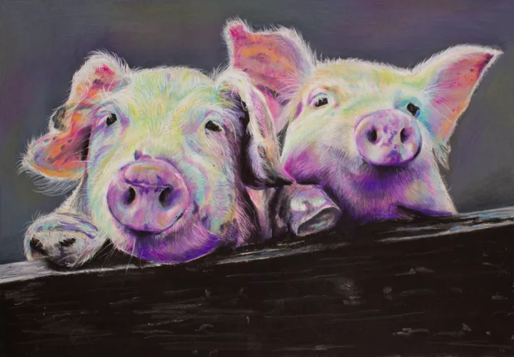 &#039;Disco Pigs&#039;