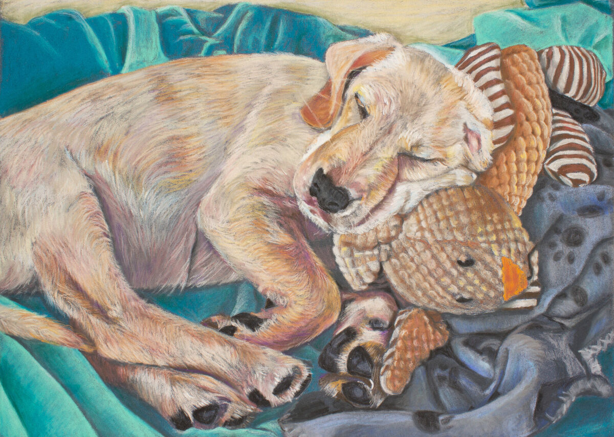 Sweet Dreams_Unmounted_MG_4192-2.png Sweet Dreams_Unmounted_MG_4192-2.png